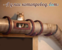 1786787215909.png 1786787215909.png
