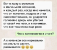 1787652568798.png