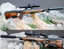 Walther RS3.jpg