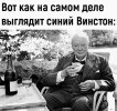 Синий Винстон-1.jpeg