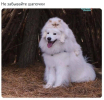 1789116016689.png