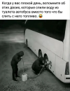 1790094050488.png