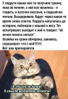 1790187827879.png