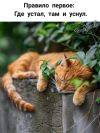 20.png