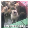 1791093799353.png