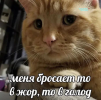 1791372914060.png