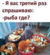 1791660773203.png
