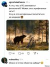 d4d0845a1ffbd5e41e551a7f67f4b4f8.jpg
