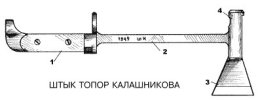scale_1200 (2).jpg scale_1200 (2).jpg