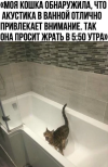 1792069836074.png
