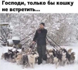 1792261741828.png