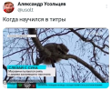 1792426693355.png