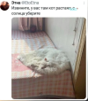 1792607255014.png