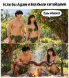 52ea59f99119919ddd4f5361f3b699aa.png