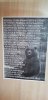 IMG-20180807-WA0019.jpg