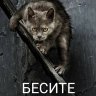 Мурка-Мурочка