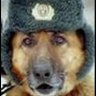Serzh64