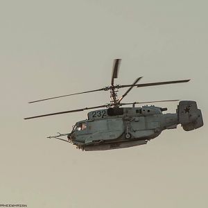 -31СВ
