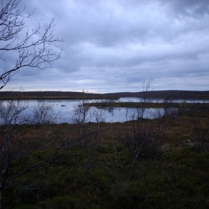 DSCN2054