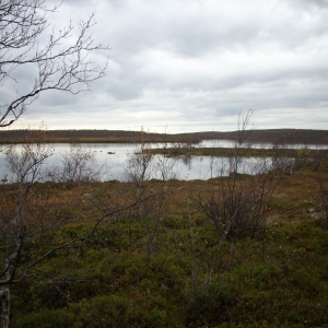 DSCN2055